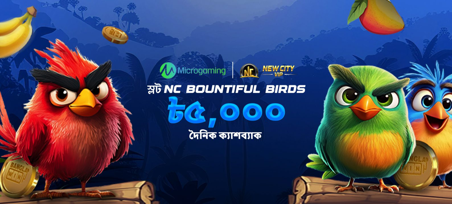 ৫,০০০ টাকা NC Bountiful Birds দৈনিক ক্যাশব্যাক